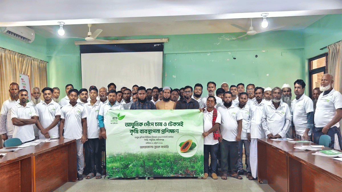 ব্র্যাক নার্সারির উদ্যোগে পেঁপে চাষের আধুনিক পদ্ধতির প্রশিক্ষণ