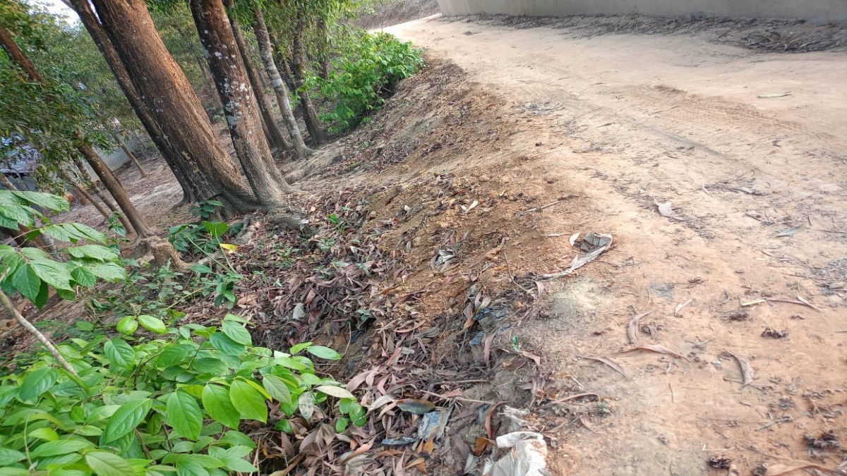 দীর্ঘদিনের অবহেলায় রশিদের  ঘোনা মসজিদ সড়ক