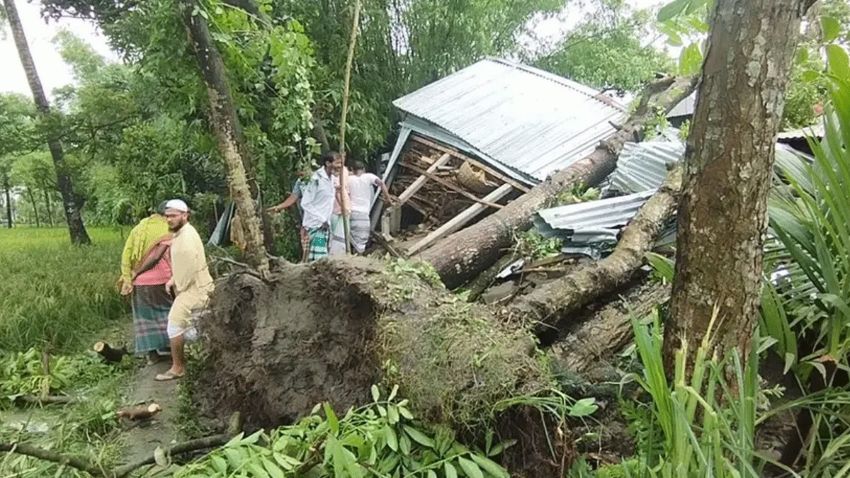 জামালপুরে ঝড়ে গাছচাপা পড়ে মা ও দুই মেয়ের মৃত্যু