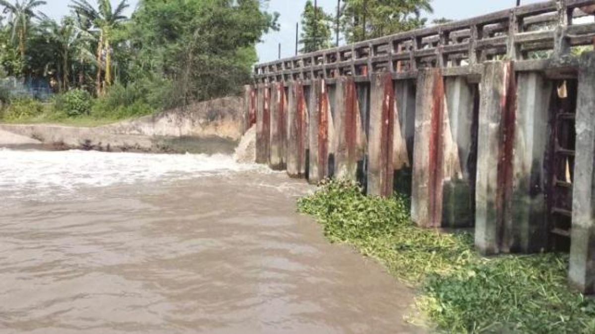 ডুমুরিয়া বিলপাবলার স্লুইজ গেট এখন মরণফাঁদ