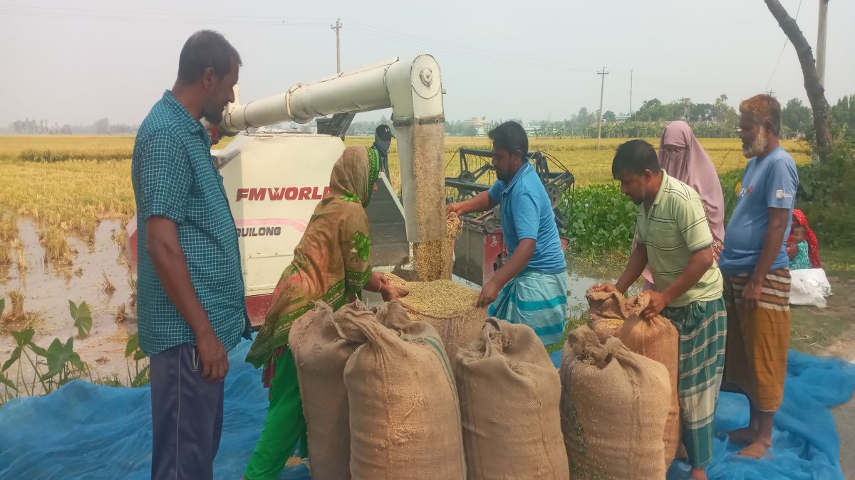 কাহালুতে প্রযুক্তির ছোঁয়াই বদলে যাচ্ছে কৃষি
