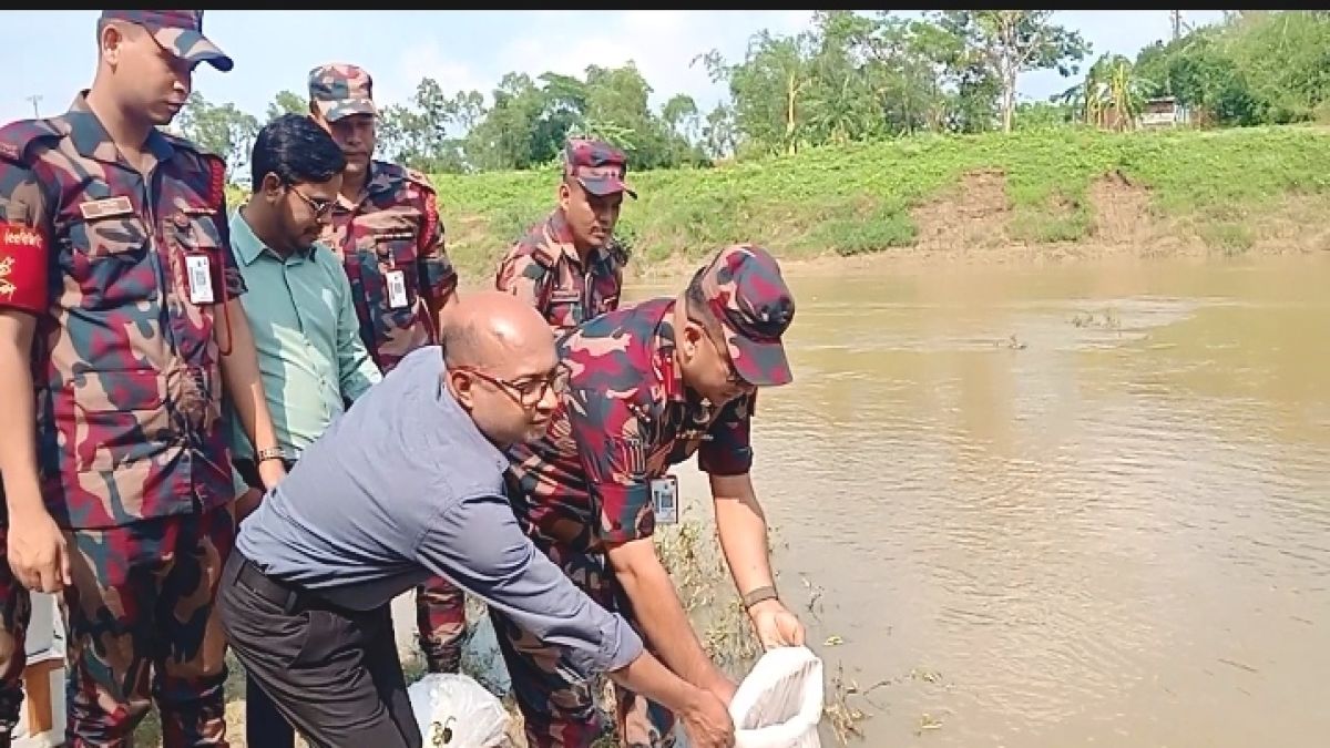 হবিগঞ্জে দুই কোটি টাকার গলদা  চিংড়ির রেণু জব্দ ও অবমুক্ত