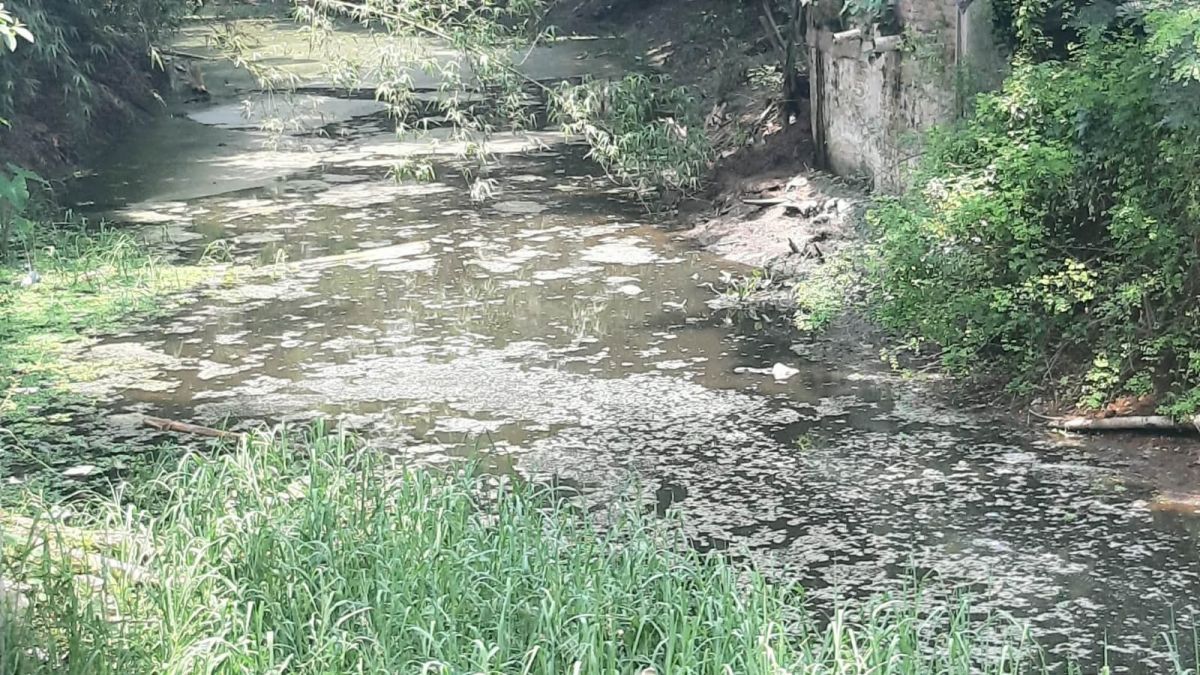 জলাবদ্ধ টরকী-বাসাইল খাল  এখন জীবাণুর ভাণ্ডার