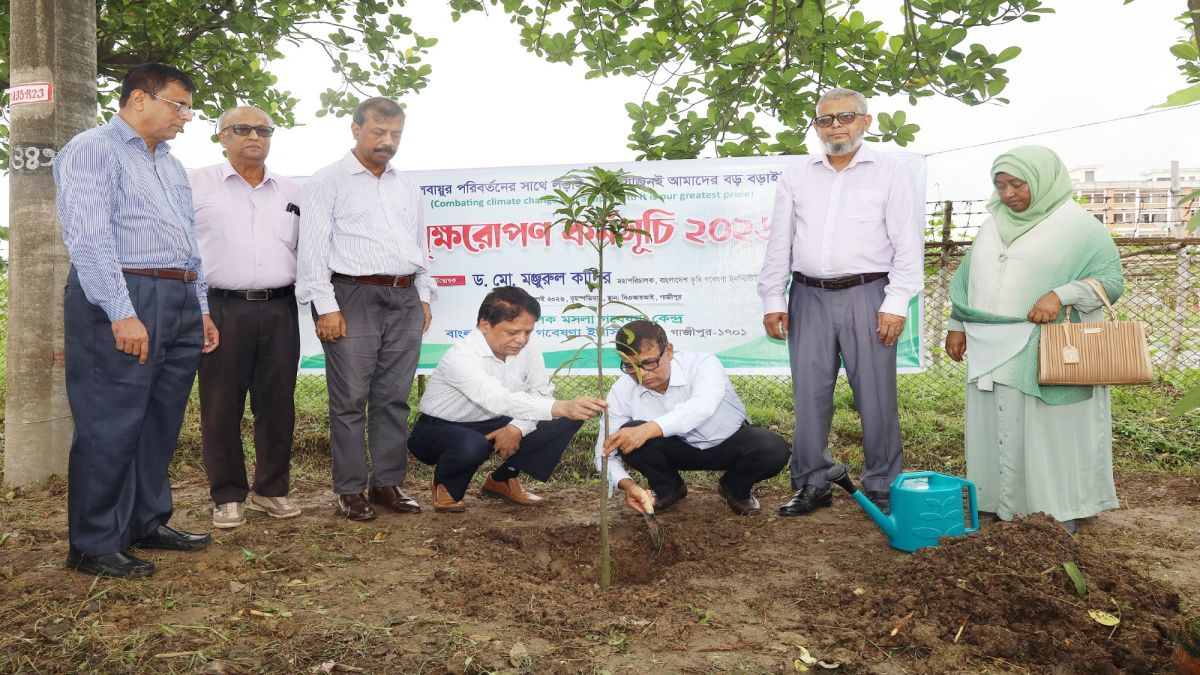 বারিতে বৃক্ষ রোপণ কর্মসূচি  ২০২৬ উদ্বোধন
