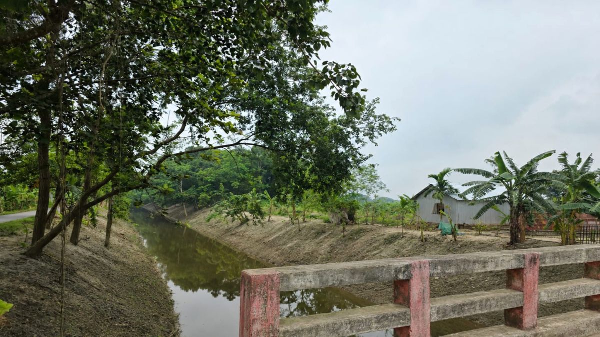 কুষ্টিয়ায় খাল পুনর্খখননে ভাগ্য  বদলের স্বপ্নে কৃষকরা