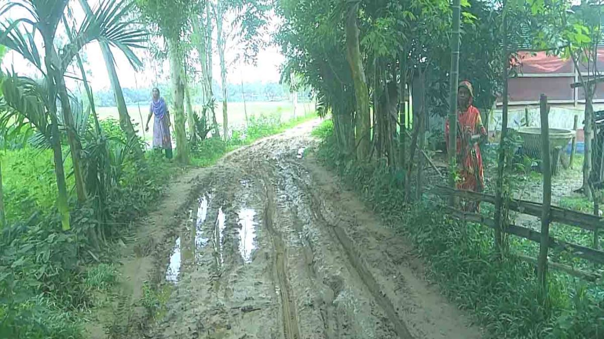 বেহাল নলকুড়া ইউনিয়নের রাস্তা  চরম দুর্ভোগে হাজারো মানুষ
