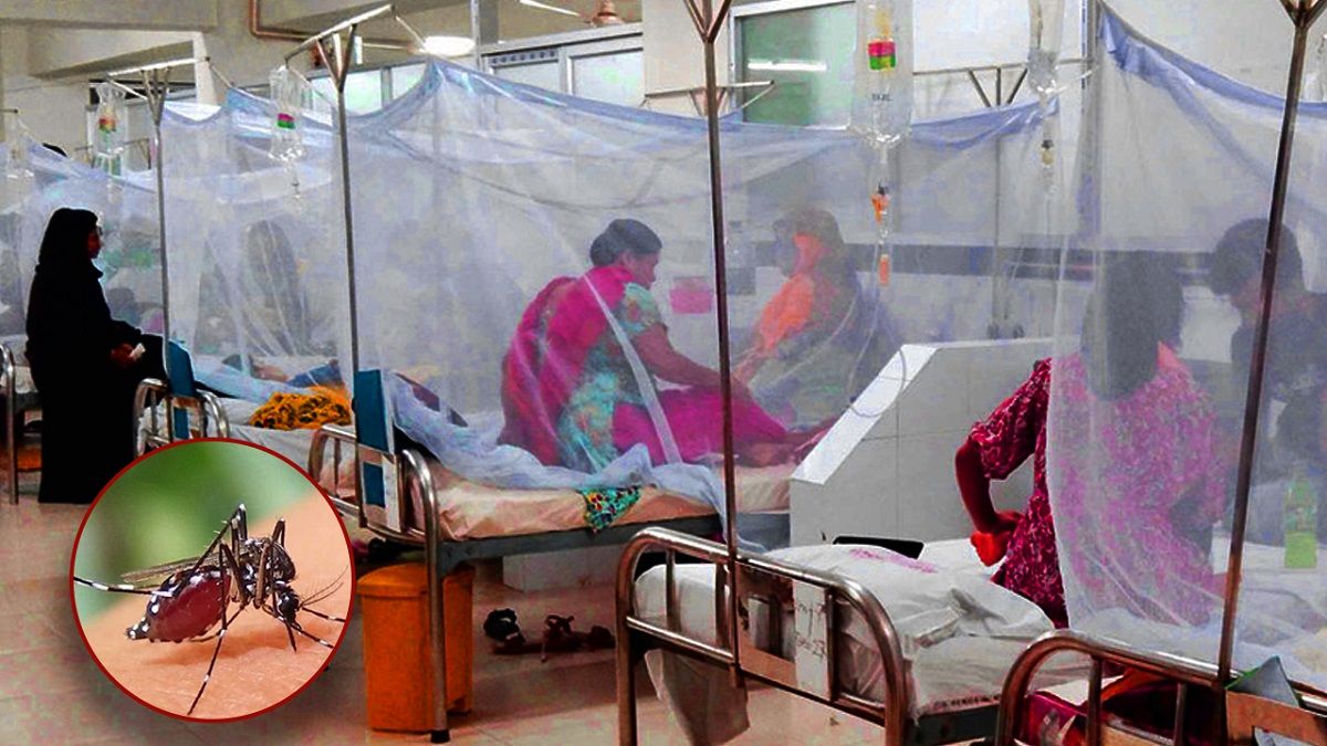 ডেঙ্গুতে ৩ মৃত্যু, হাসপাতালে ভর্তি ৩৭২ জন