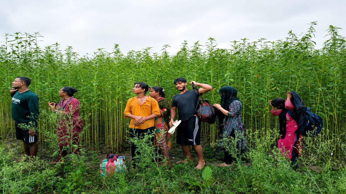 কুষ্টিয়া সীমান্তে ৮ জনকে পুশইনের  চেষ্টা, বিজিবির বাধায় ব্যর্থ
