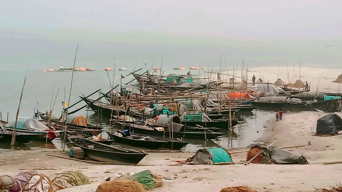 পদ্মা নদীতে ইলিশ মাছের আকাল
