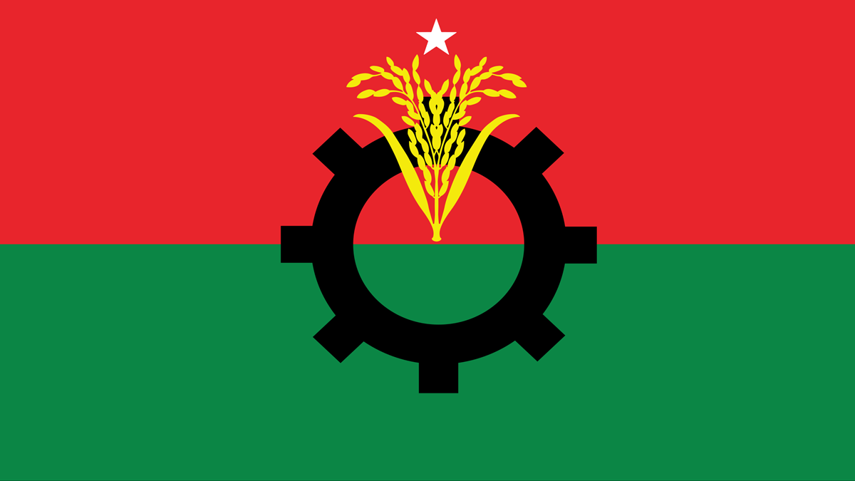 রাষ্ট্রপতি প্রার্থী মনোনয়ন দেবেন দলীয় প্রধান তারেক রহমান