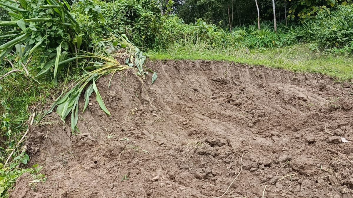 পরশুরামে চর কেটে ইটভাটায় মাটি উত্তোলনের অভিযোগ