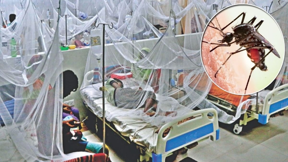 চলতি বছরে ডেঙ্গু রোগী ছাড়াল ২০ হাজার, ১০ দিনেই আক্রান্ত ৪,৭৬১