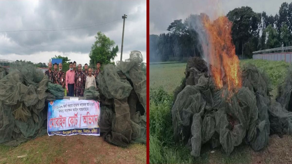 কুষ্টিয়ায় বিজিবির অভিয়ানে  ৬ কোটি   টাকার অবৈধ জাল ও গাঁজা জব্দ