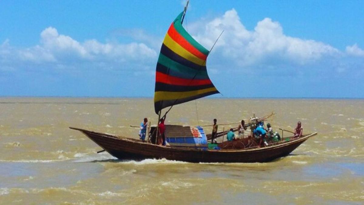 পানগুছির বুকে হারিয়ে যাচ্ছে   পালতোলা নৌকা