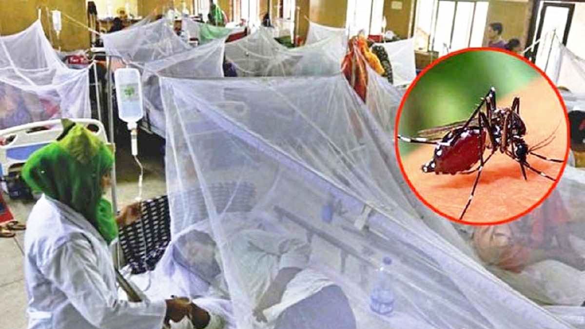 ডেঙ্গুতে একদিনে আরও ৭ মৃত্যু, হাসপাতালে ভর্তি ১৭৫৩