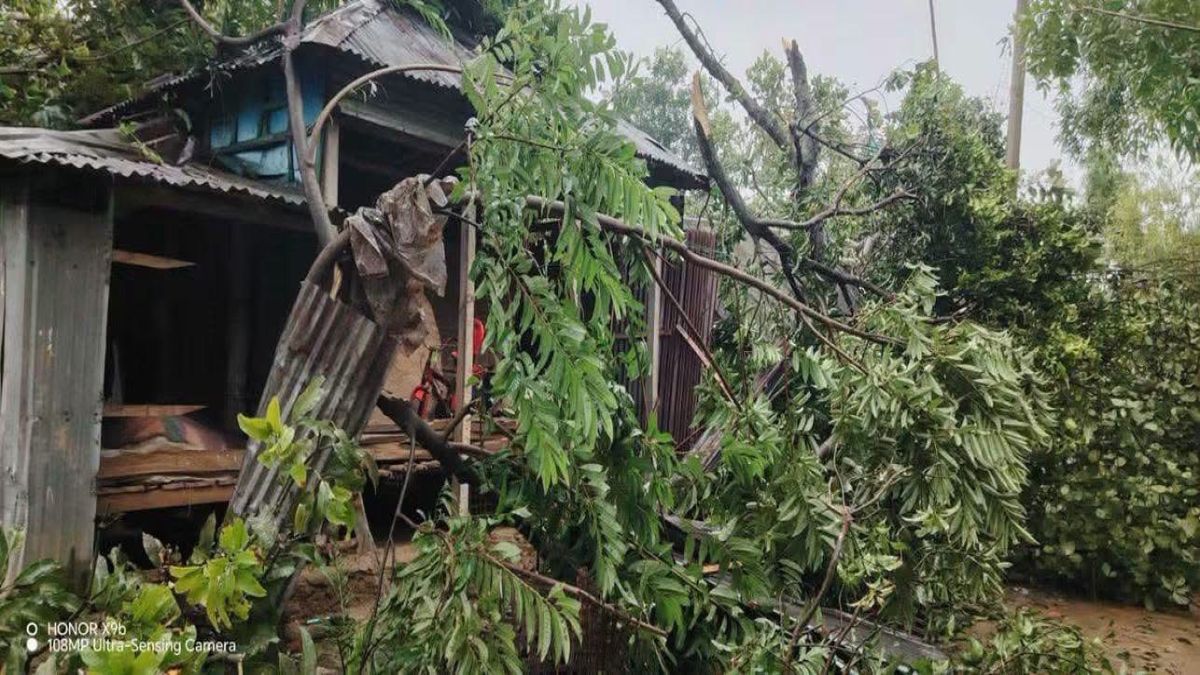 হালুয়াঘাটে হঠাৎ ঝড়ের   তাণ্ডব, লণ্ডভণ্ড ঘরবাড়ি