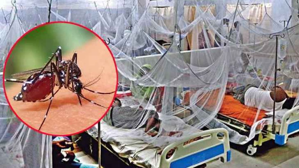 ডেঙ্গুতে আরও ৪ মৃত্যু, আক্রান্ত লাখ ছাড়াল